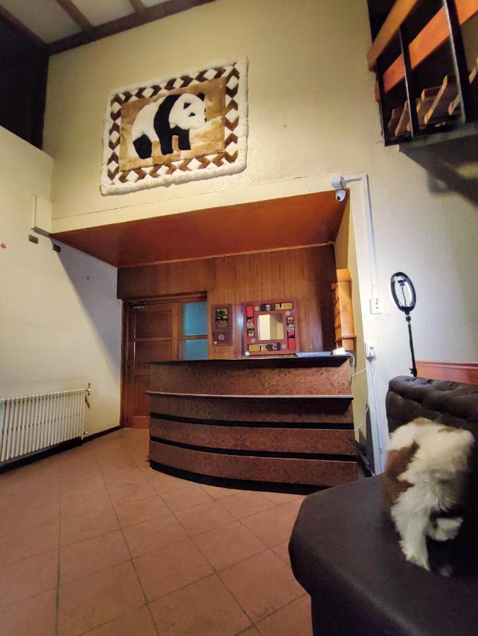 Bed and Breakfast Dallas Housen à Osorno Extérieur photo